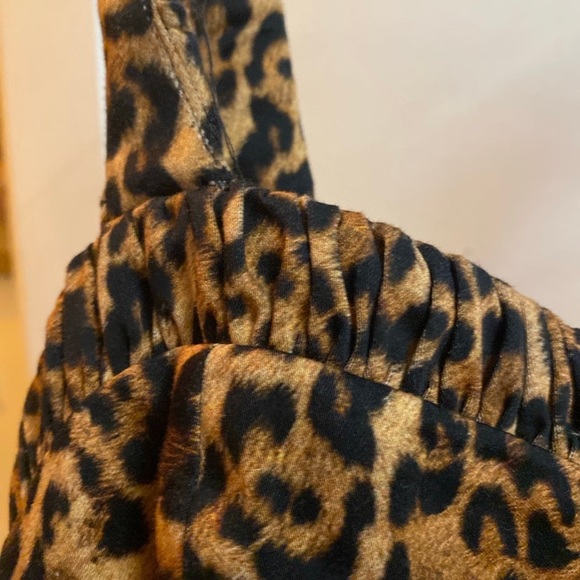 Zara cheetah print dress nwt - Picture 3 of 5